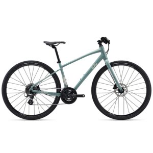 Xe Đạp Đường Phố Touring LIV Alight 2 DD Disc – Phanh Đĩa, Bánh 700C – 2022
