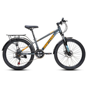 Xe Đạp Địa Hình MTB RAPTOR Rally 1B - Phanh Đĩa, Bánh 24 Inch