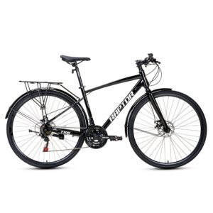 Xe Đạp Đường Phố Touring RAPTOR T100 - Bánh 700C